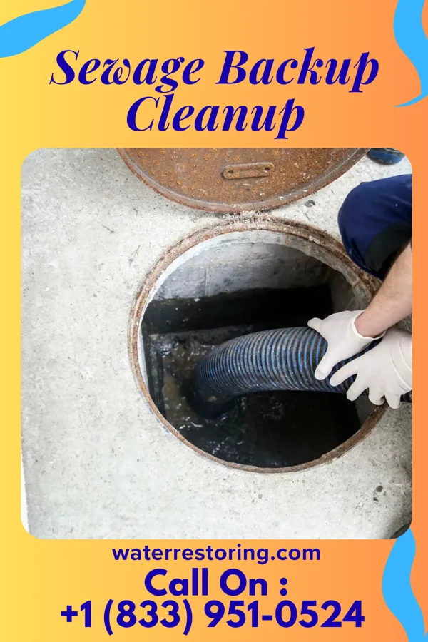 Sewage Backup Cleanup in Highland Village, TX