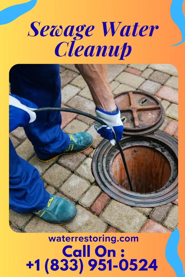 Sewage Water Cleanup in Highland Village, TX